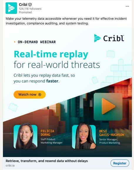 Paid Social Ads sample